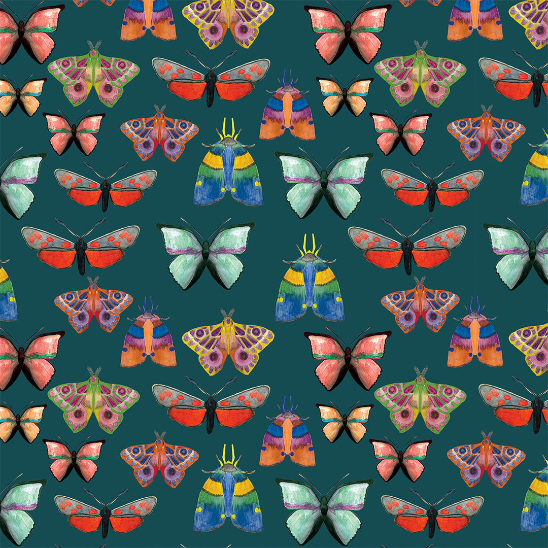 Carte postale BUTTERFLIES